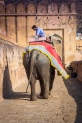 Amer Fort - Elephant Ride